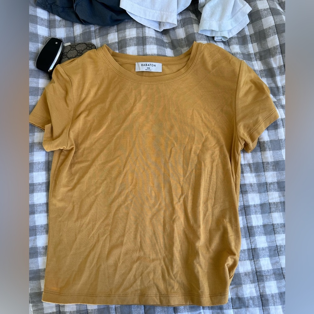 Aritzia babaton t shirt